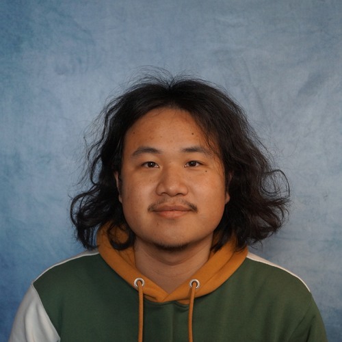 Chenyang Qiu